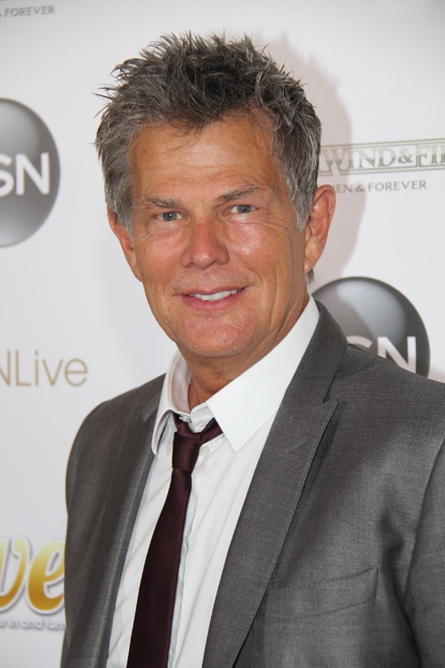 David Foster has worked with upwards of 94% of all recording artists who have ever existed.