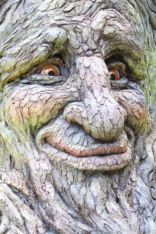 Just don't get him started about leaves. Nobody cares if a leaf is "singly-toothed" or "lobed," bro.
