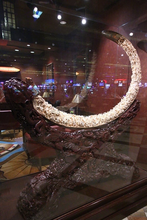 wolly mammoth tusk