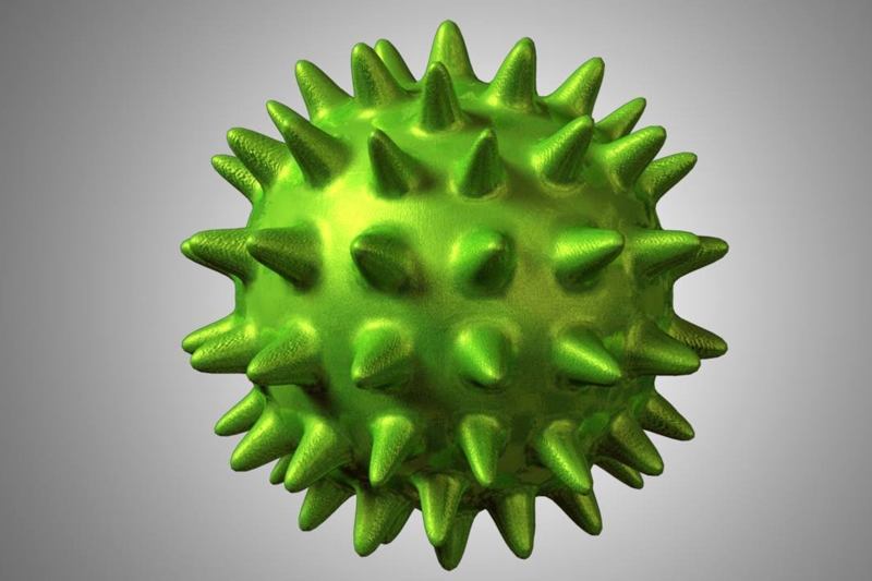 Norovirus