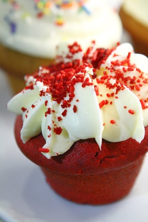 Sugar Factory cupcake