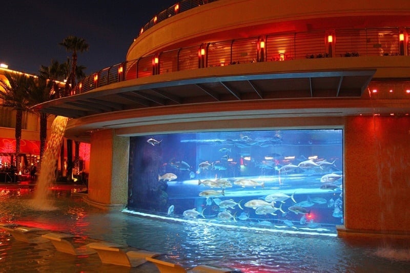 Las Vegas Aquariums - My First Fish Tank