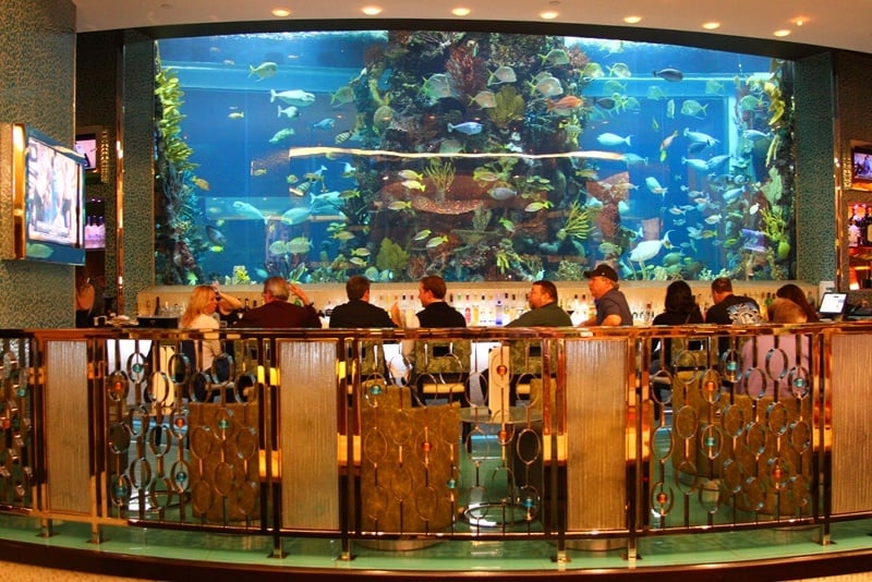 Rush Tower aquarium
