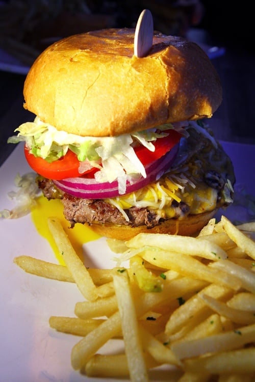 SkinnyFats burger