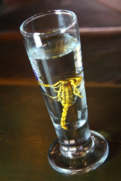 Scorpion shot
