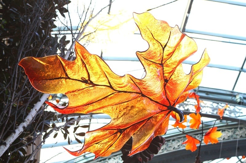 Bellagio Conservatory leaves