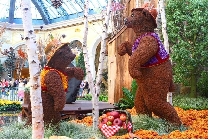 Bellagio Conservatory Gardens bears