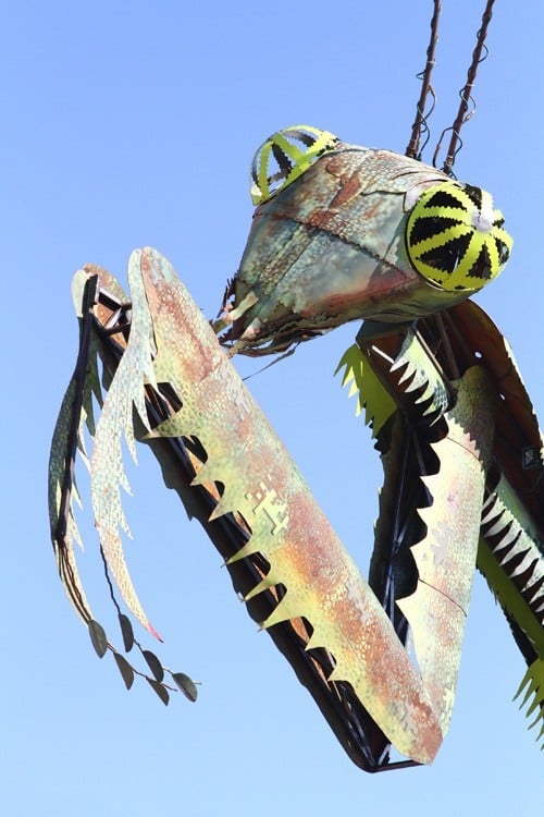 Container Park mantis