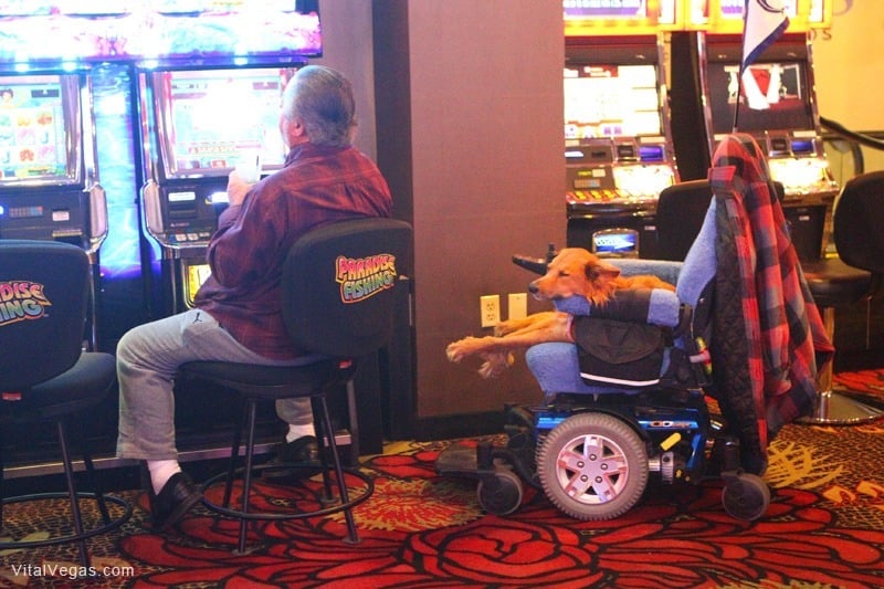 Today’s Random Las Vegas WTF