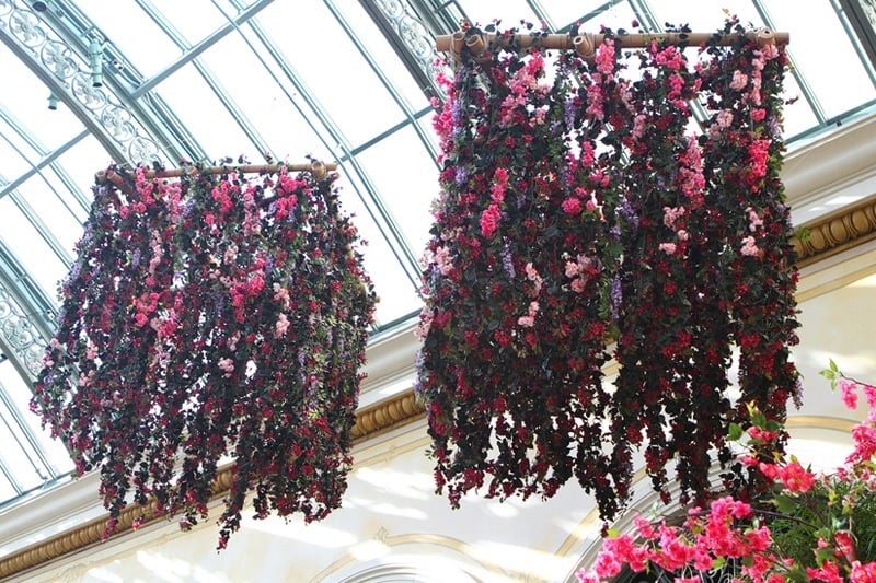 Bellagio Conservatory
