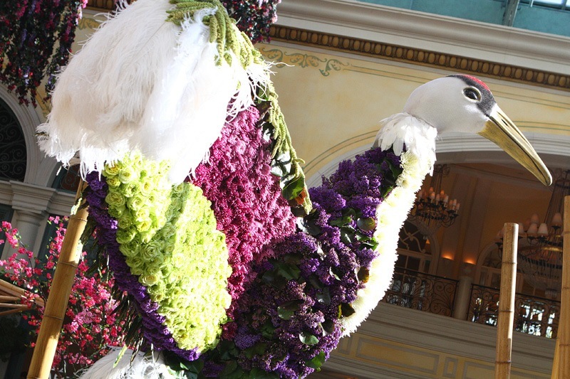 Bellagio Japanese crane
