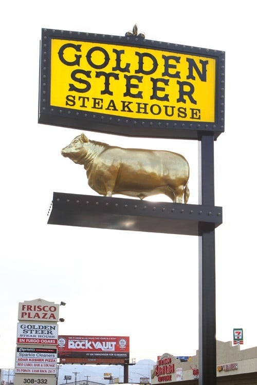 Golden Steer