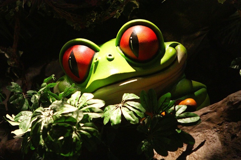 Rainforest Cafe