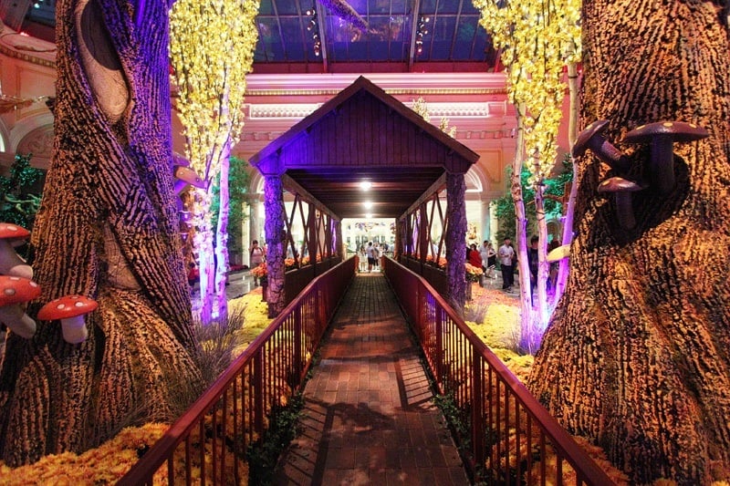 Bellagio Conservatory fall 2015
