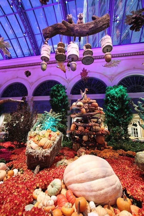 Bellagio autumn 2015