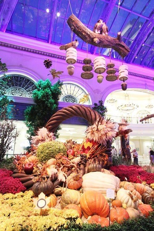 Bellagio Conservatory 2015