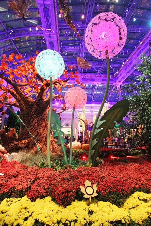 Bellagio Gardens fall 2015
