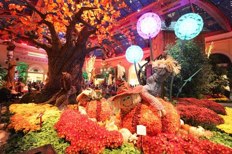 Bellagio Conservatory & Gardens