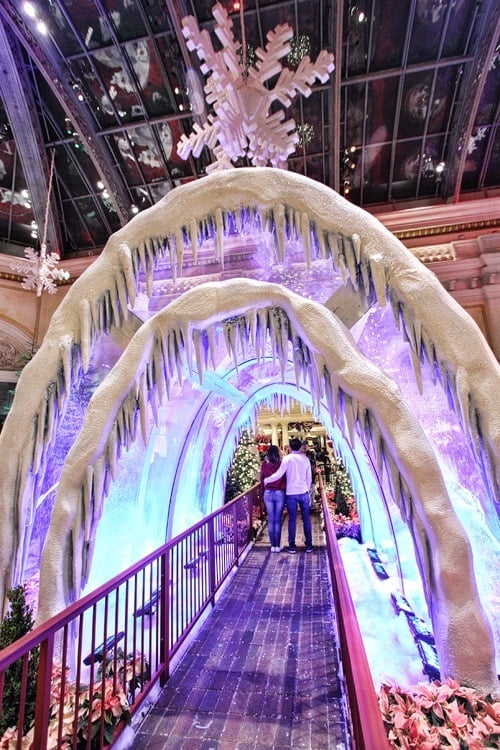 Bellagio Conservatory Christmas 2015