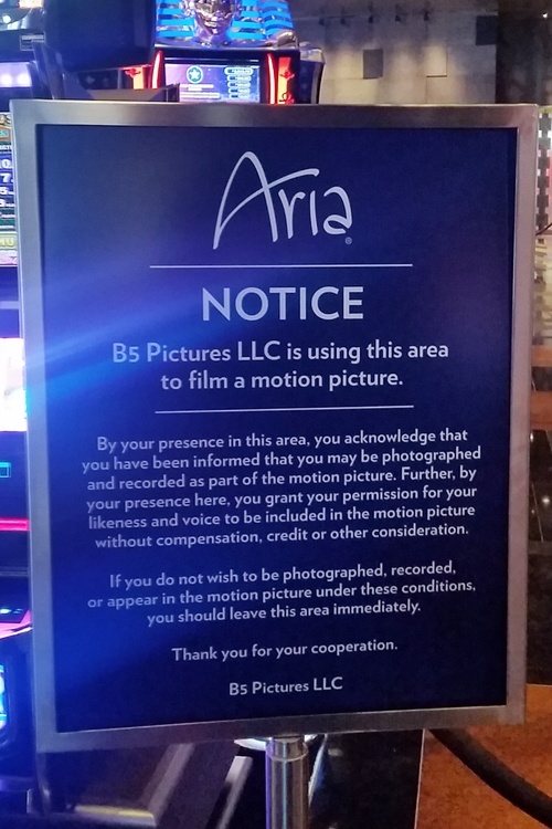 Aria Bourne filming
