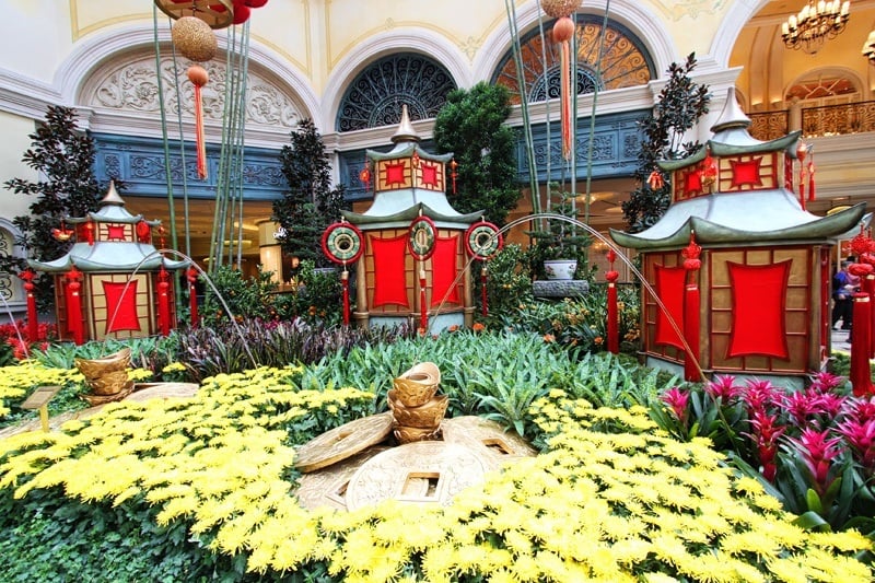 Bellagio Conservatory's new display: 'Eye of the Tiger' honors Asian  culture — PHOTOS, The Strip