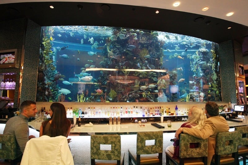 Chart House aquarium