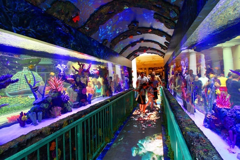 Bellagio Conservatory Under the Sea