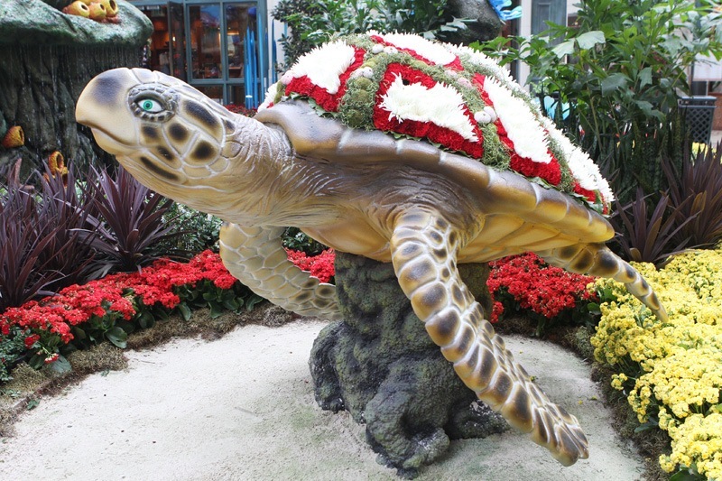 Bellagio Conservatory sea turtle
