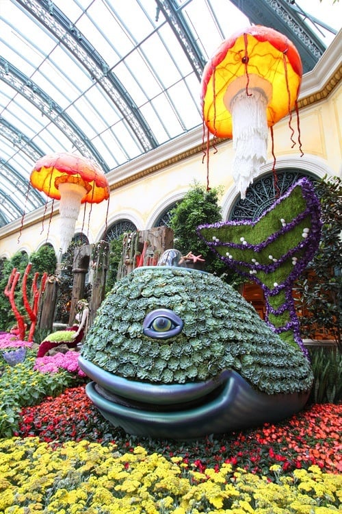 See Bellagio's New Display and Resorts World Overflows with Applications