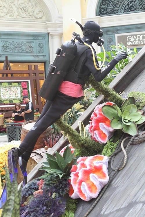 Bellagio scuba diver