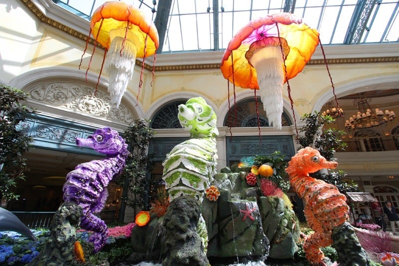 Bellagio seahorses