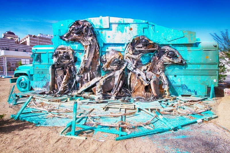 Meerkats Las Vegas
