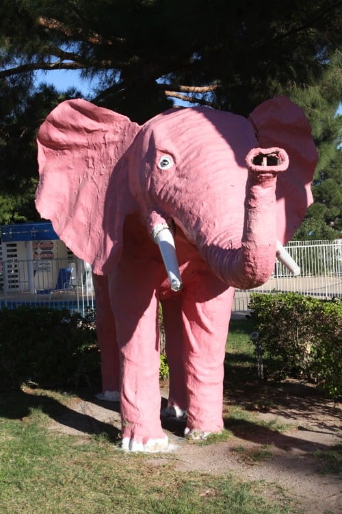 Pink elephant Las Vegas