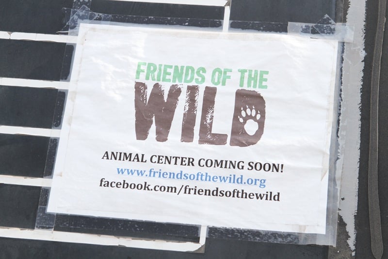 Friends of the Wild
