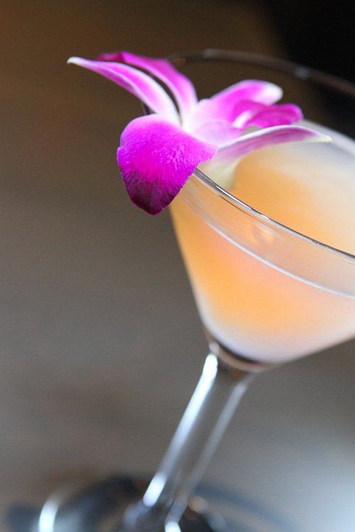 Bathtub Gin Daisy