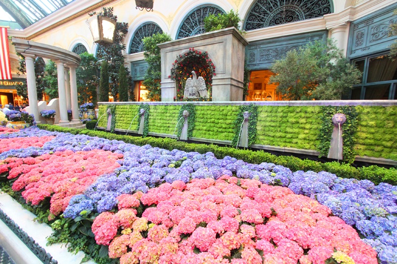 Bellagio Capri display