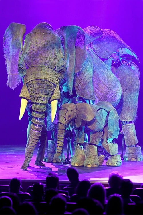 Circus 1903