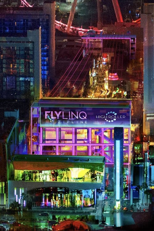 Fly Linq zipline