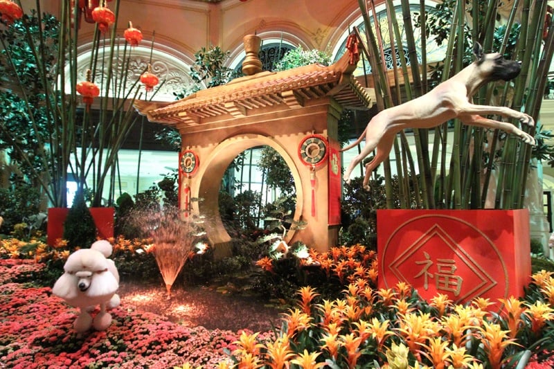 Bellagio Chinese New Year
