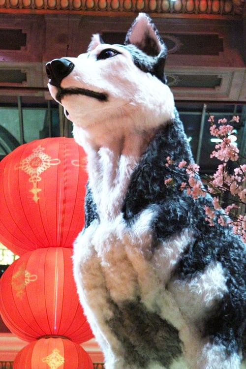 Bellagio Chinese New Year