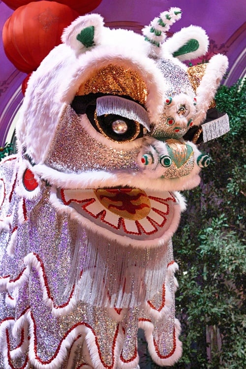 Conservatory Chinese New Year 2019