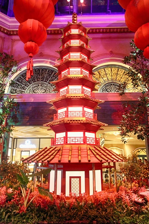 Celebrate The Year of the Dragon at Bellagio's Conservatory & Botanical  Gardens - Haute Living