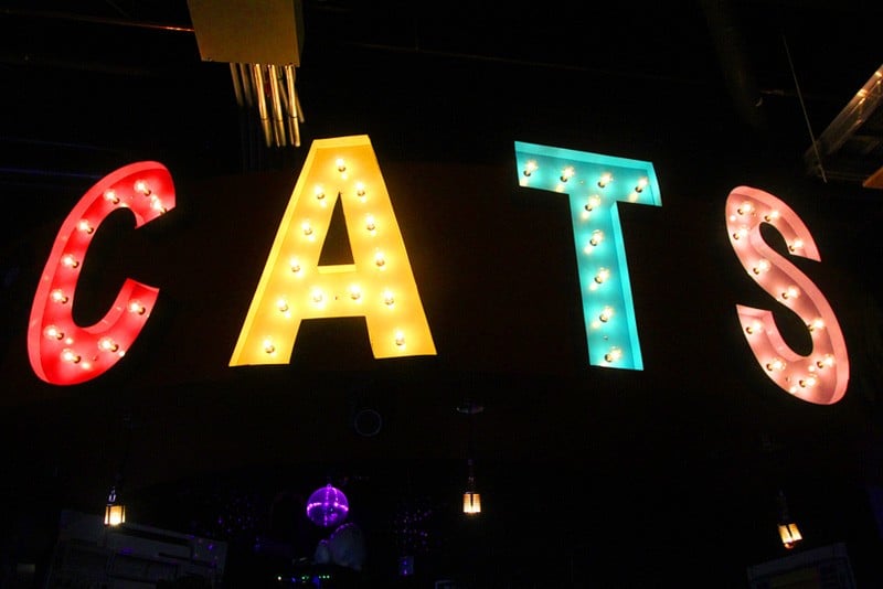 Cat's Meow Vegas