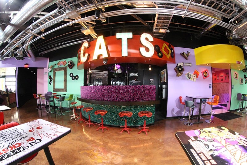 Cat's Meow