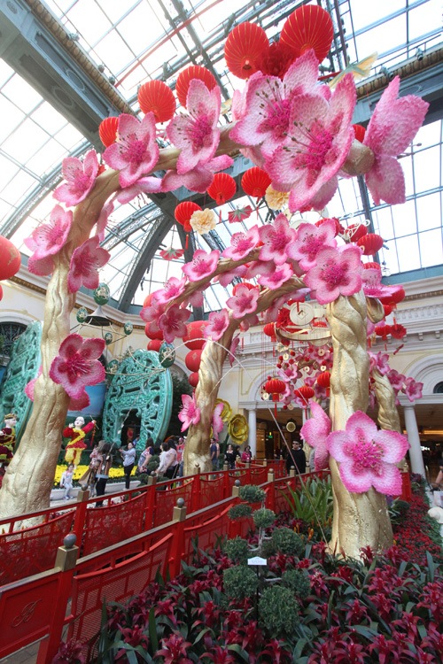 Las Vegas revels in Chinese New Year