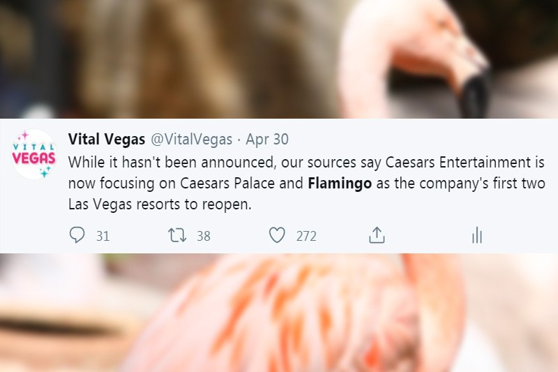 Flamingo reopen