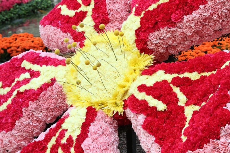 Bellagio Conservatory