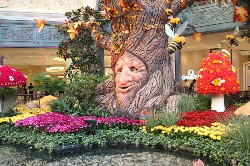 Autumn Bellagio 2020
