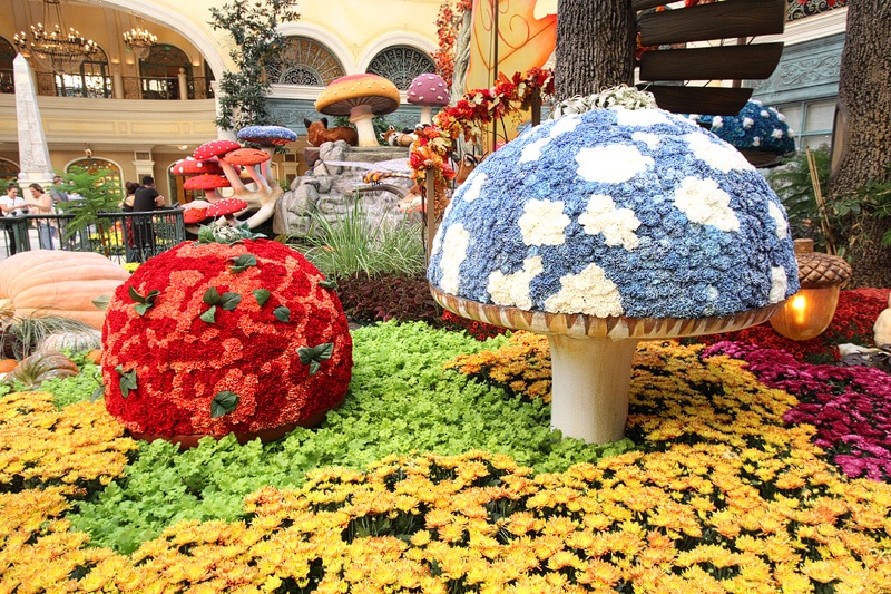 Bellagio Conservatory Fall 2020