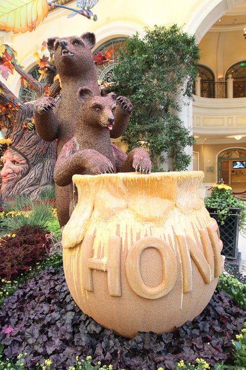 Autumn Bellagio 2020